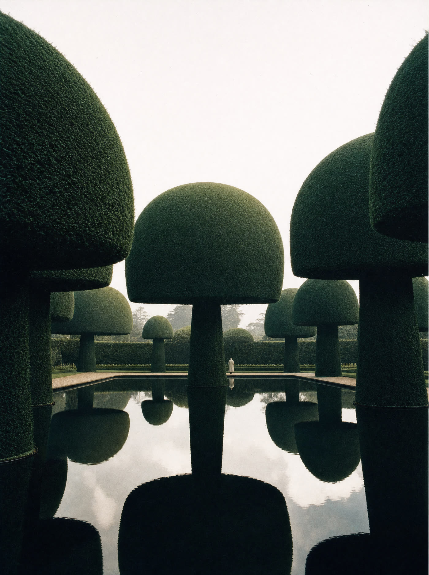 Colossal mushroom-shaped evergreen trees around a still black mirror pond under a white sky