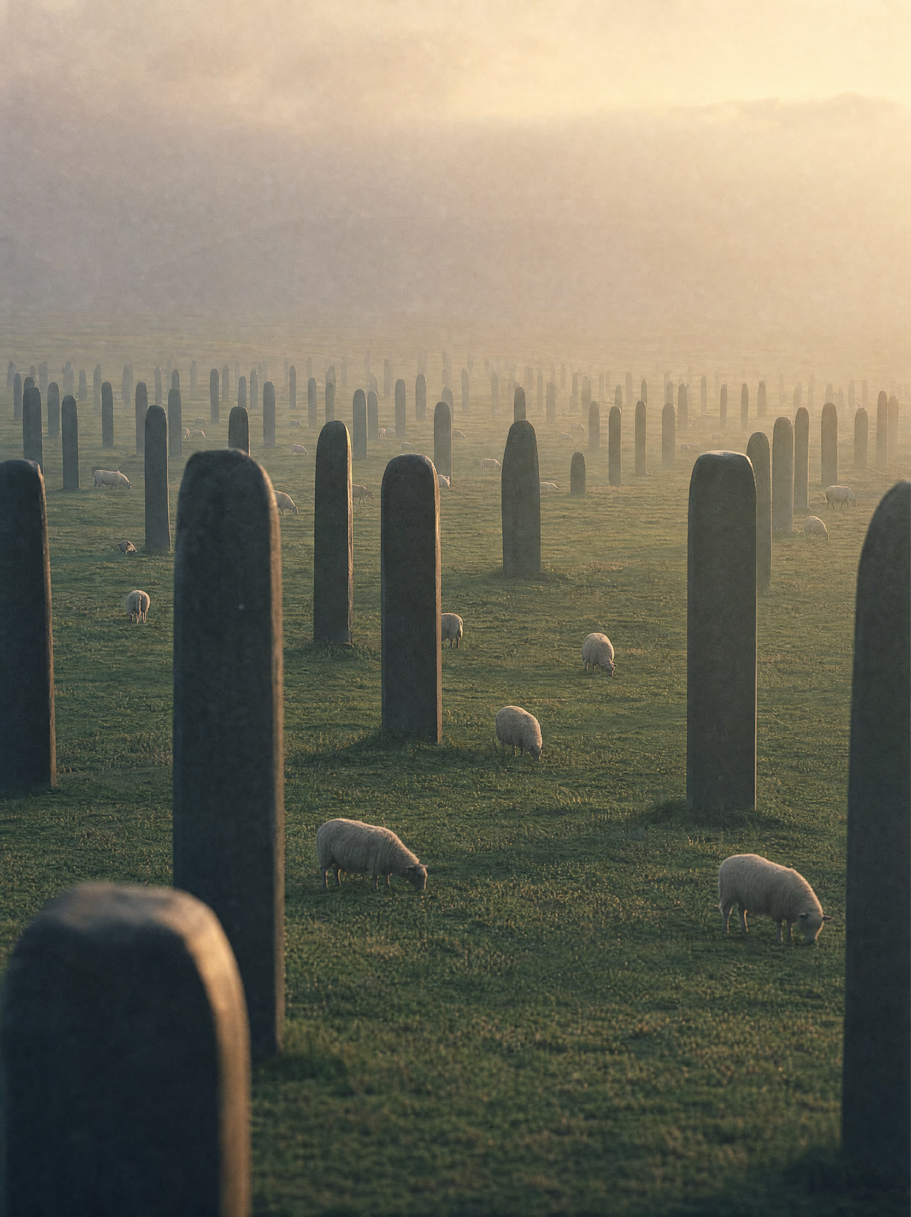 Hundreds of enormous dark monoliths in rows receding into mist across pasture, sheep grazing between