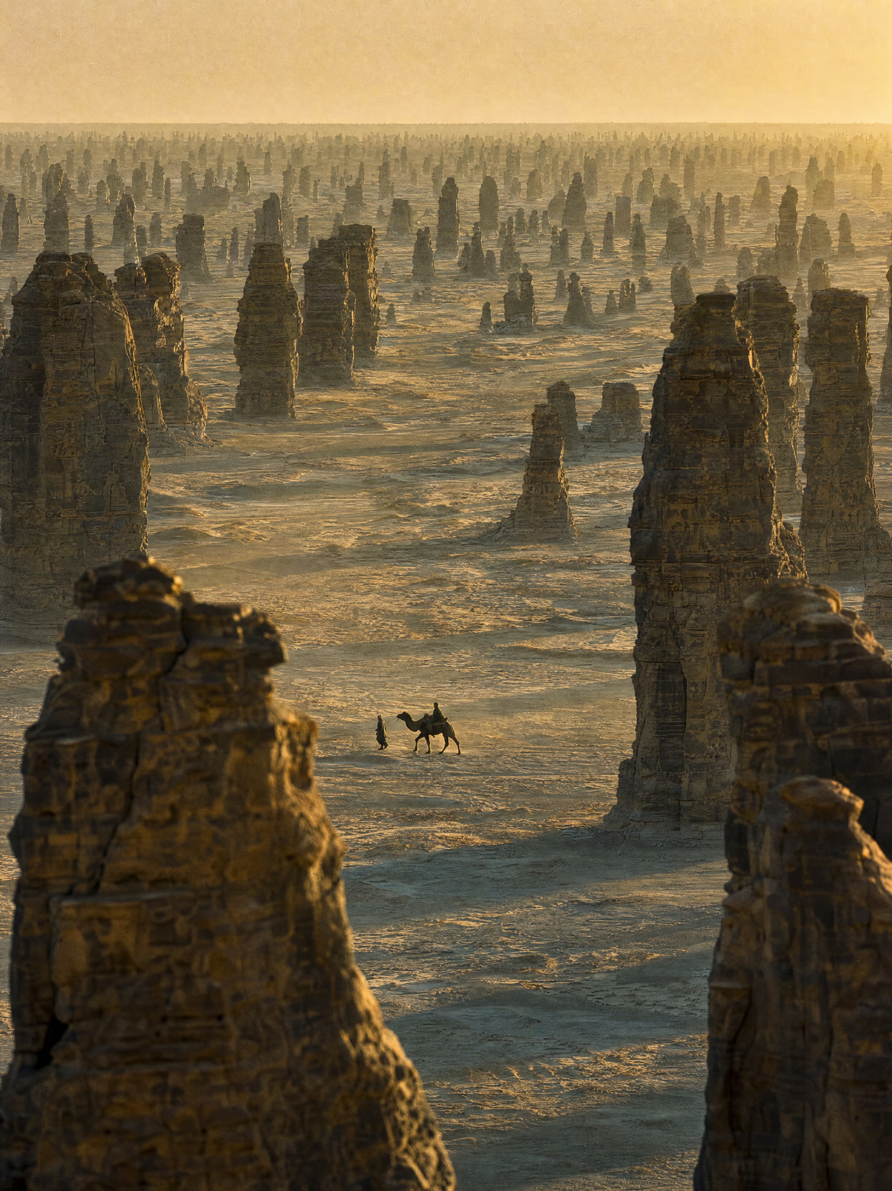 Wind-worn sandstone towers standing in ranks across a plain, two figures crossing between them