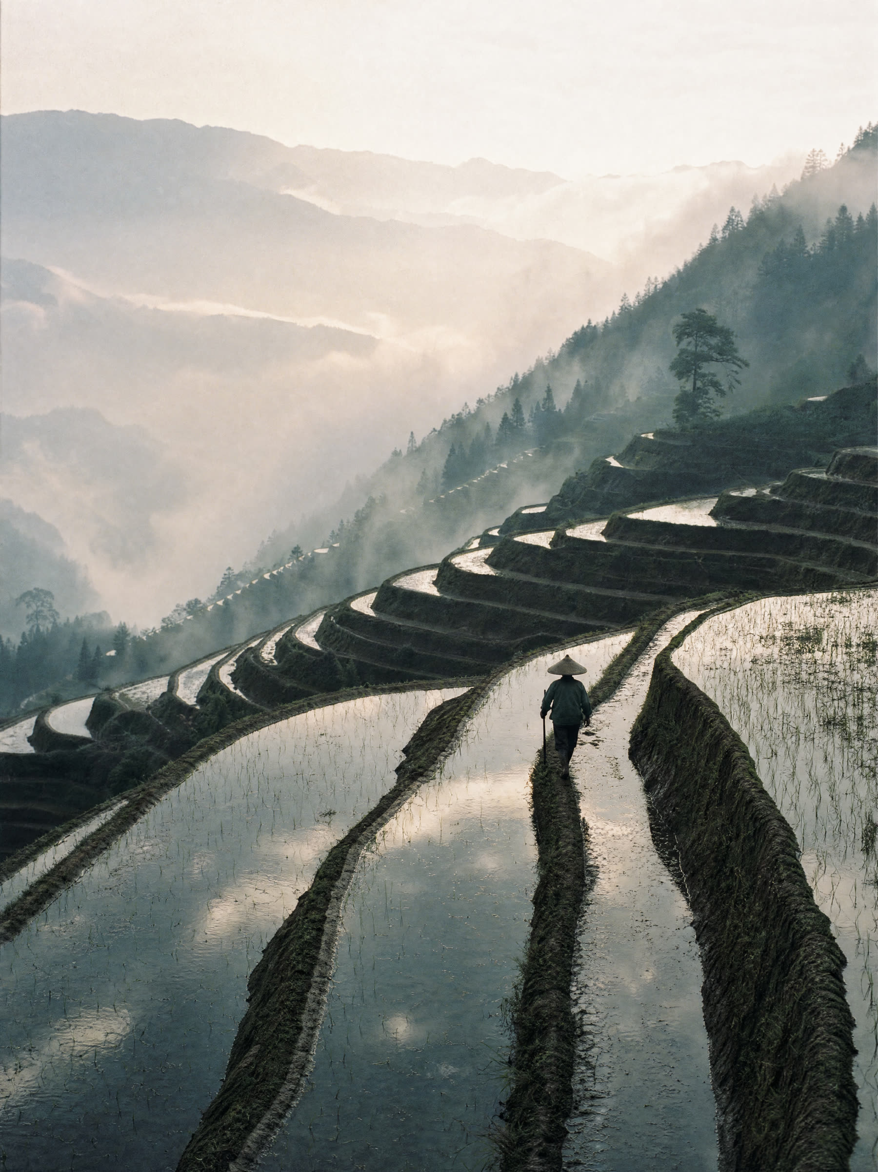 Mirror-still rice terraces curving up a mountainside into low cloud, one farmer on a narrow bund