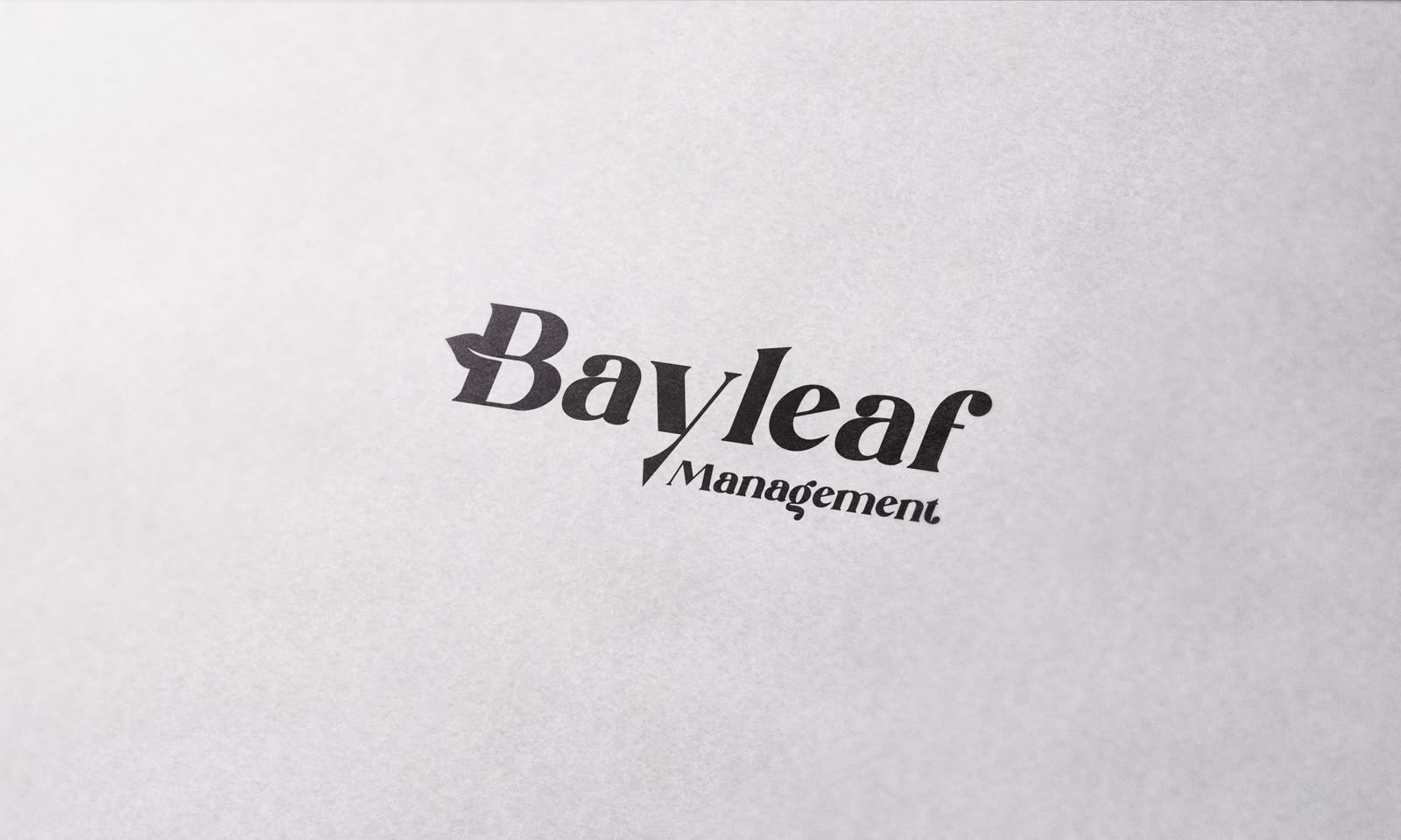 Logo Collection — visual 6